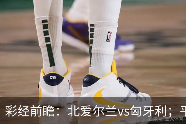 彩经前瞻：北爱尔兰vs匈牙利；平局优先，看好主队不败